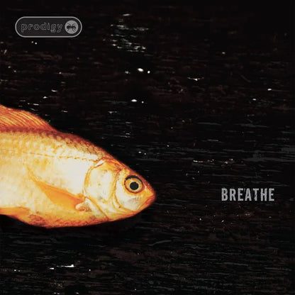 Prodigy "Breathe x30" 12"