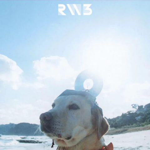 Radwimps "Radwimps 3 Mujintou Ni Motteikiwasureta Ichimai" LP