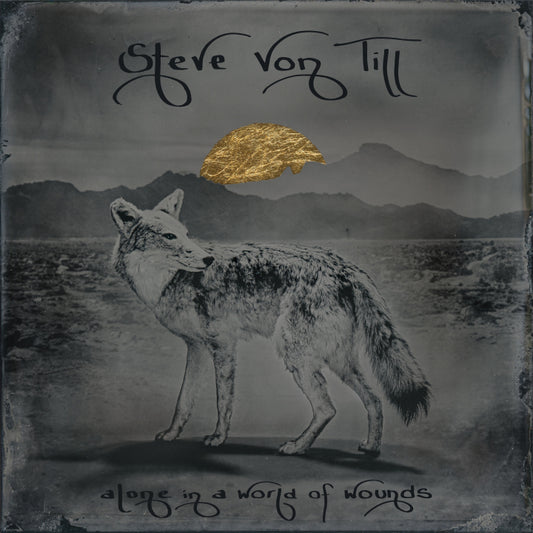 Von Till, Steve "Alone In A World Of Wounds" LP