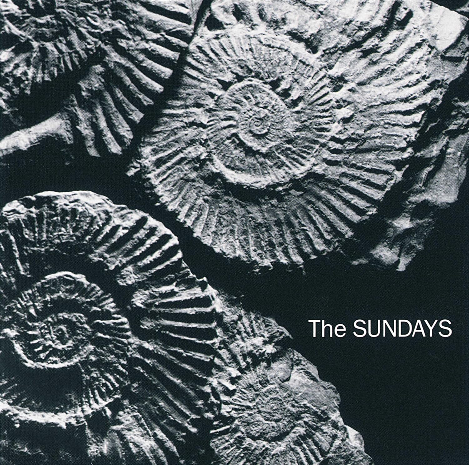 Sundays, The "Reading, Writing And Arithmetic" LP