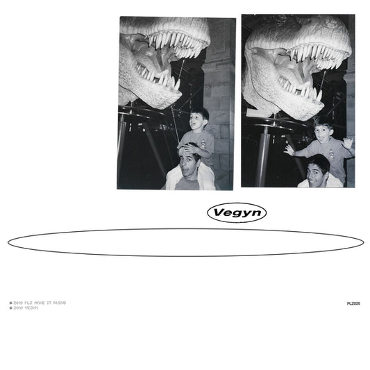 Vegyn "Only Diamonds Cut Diamonds" 2xLP