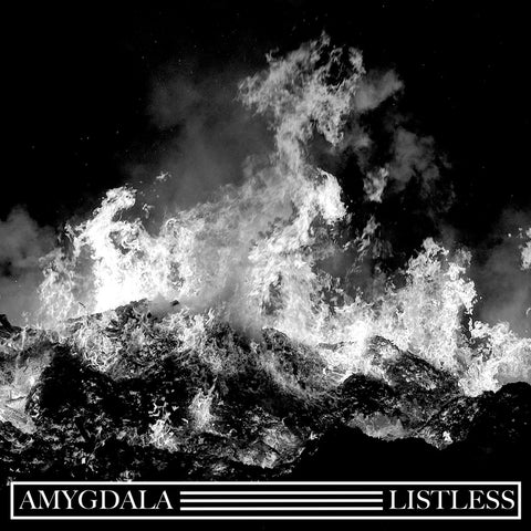 Amygdala / Listless split LP