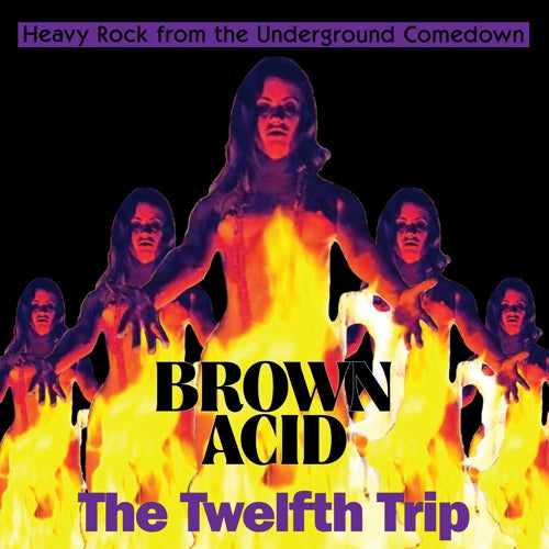 V/A Brown Acid "The Twelfth Trip" LP