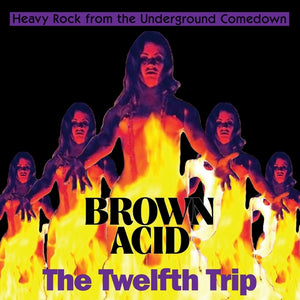 V/A Brown Acid "The Twelfth Trip" LP