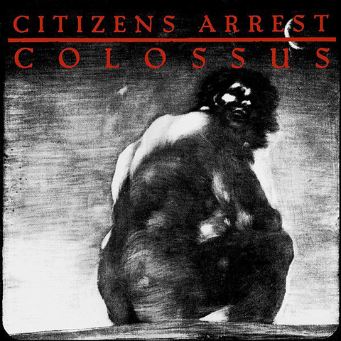 Citizens Arrest "Discography" 2xLP