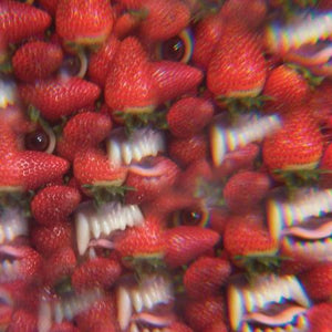 Thee Oh Sees "Floating Coffin" LP - Dead Tank Records
