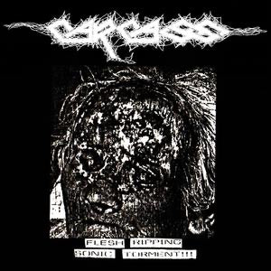 Carcass “Flesh Ripping Torment” LP