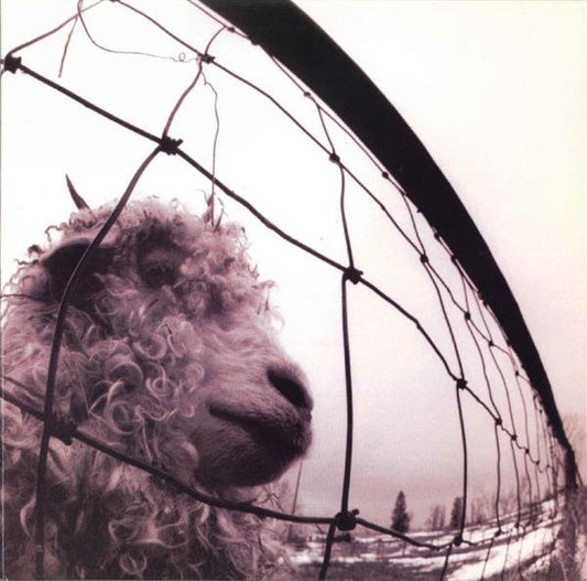 Pearl Jam "Vs." LP