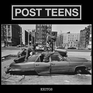 Post Teens "Exitos" LP