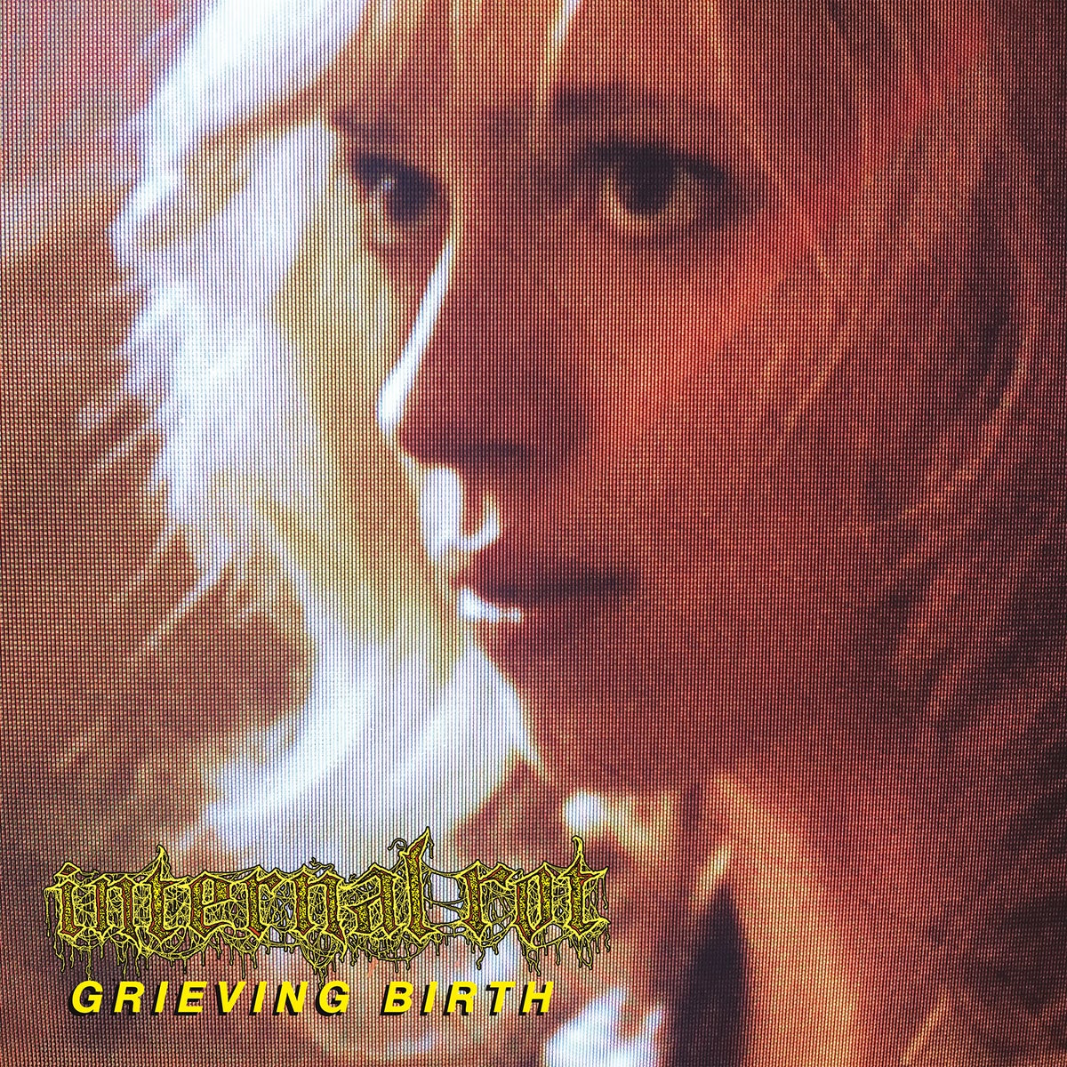 Internal Rot "Grieving Birth" LP