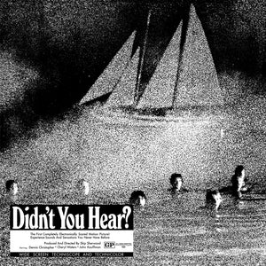 Mort Garson "Didn't You Hear?" LP