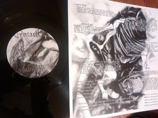 Tentacles "Ambivalence" LP - Dead Tank Records - 3
